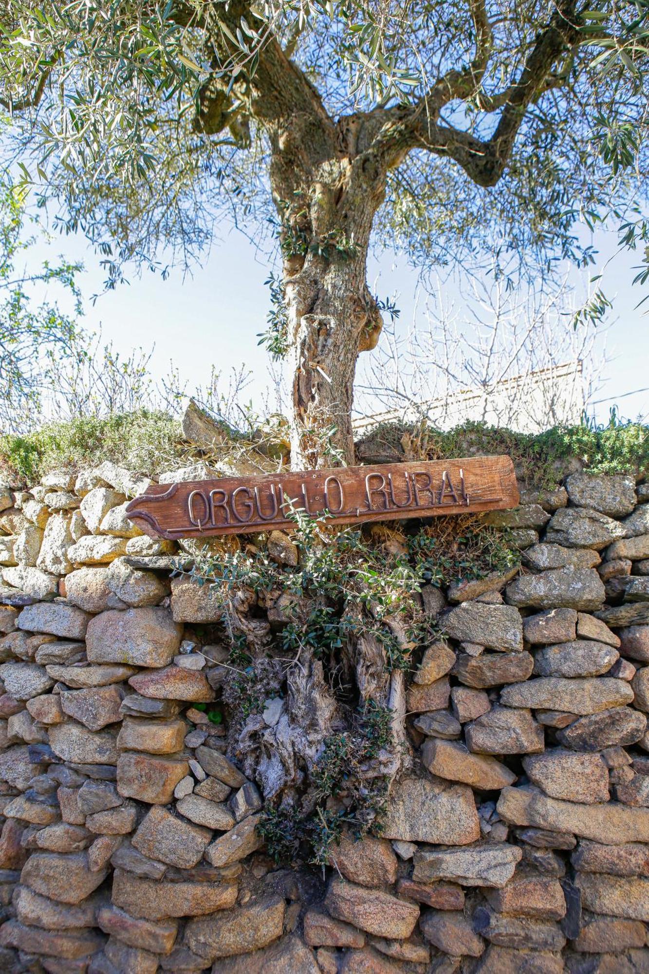 Bermellar Casa Rural Therma Agreste المظهر الخارجي الصورة